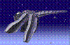 cyfly.jpg